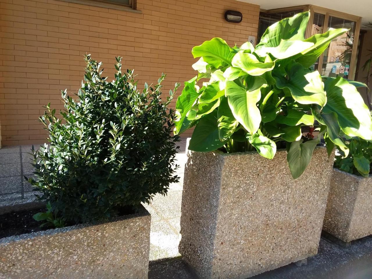 Albergo Nyers Perugia Bagian luar foto