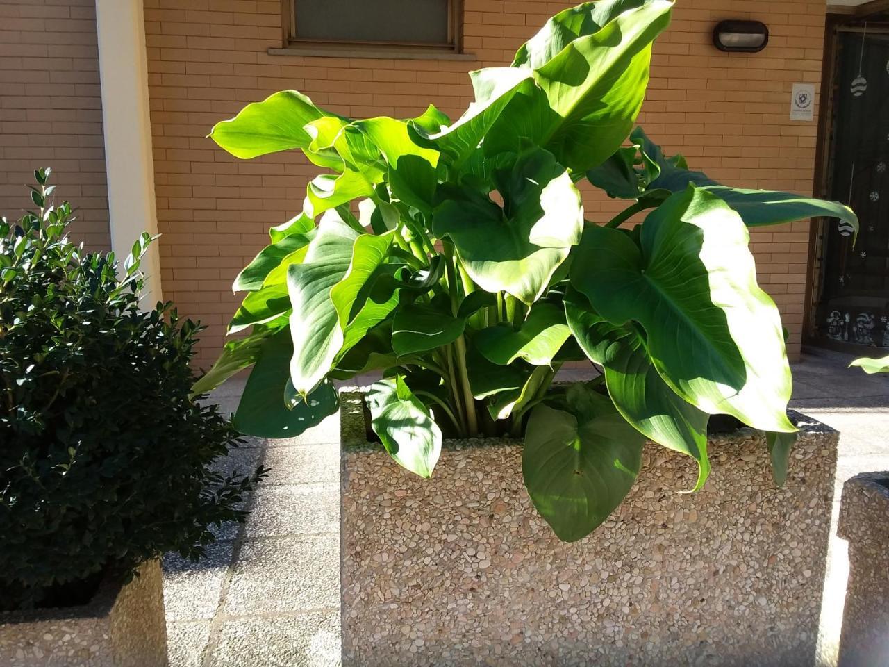 Albergo Nyers Perugia Bagian luar foto