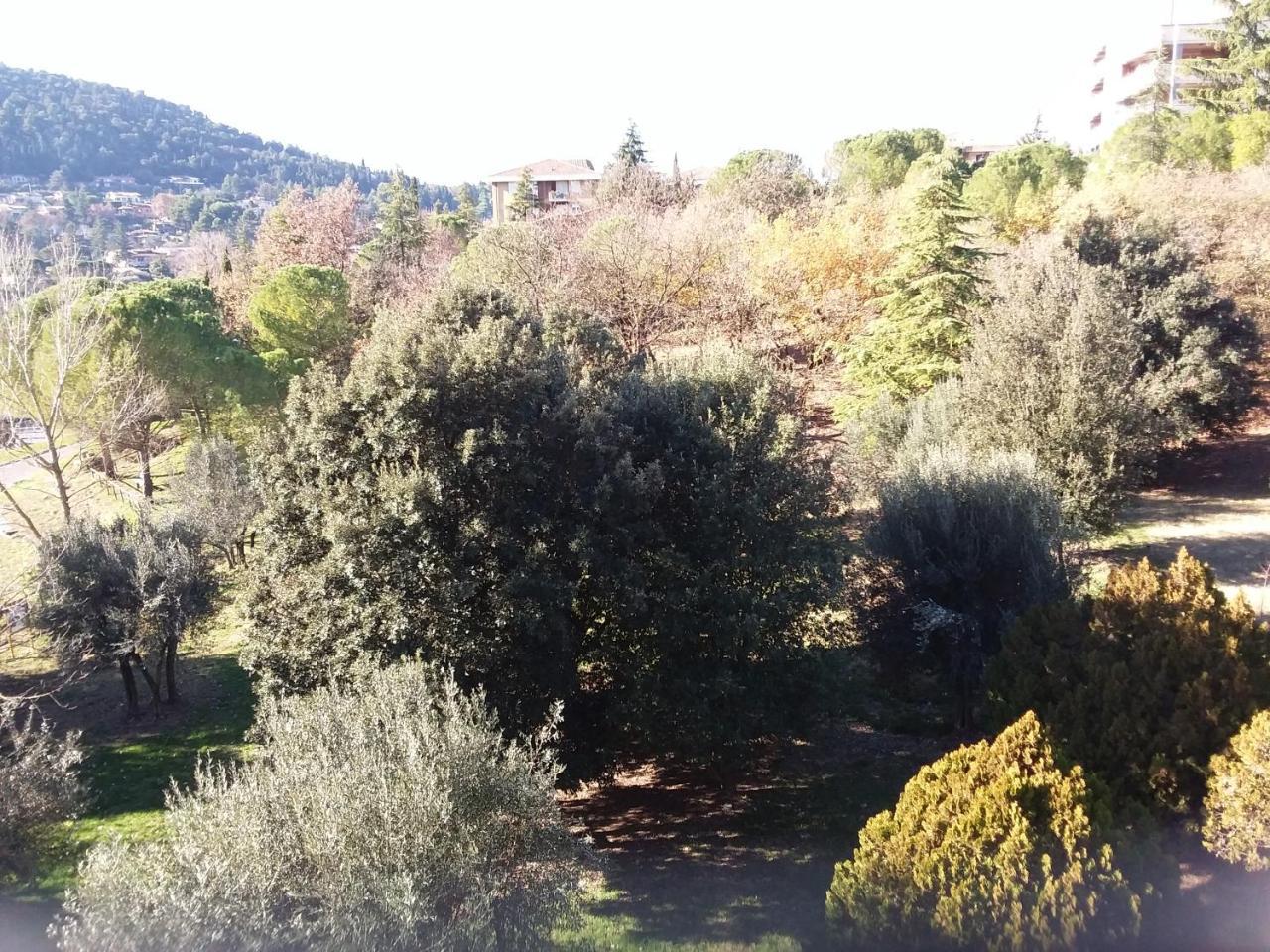 Albergo Nyers Perugia Bagian luar foto