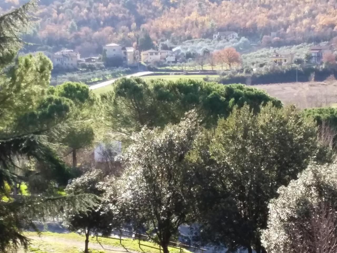 Albergo Nyers Perugia Bagian luar foto